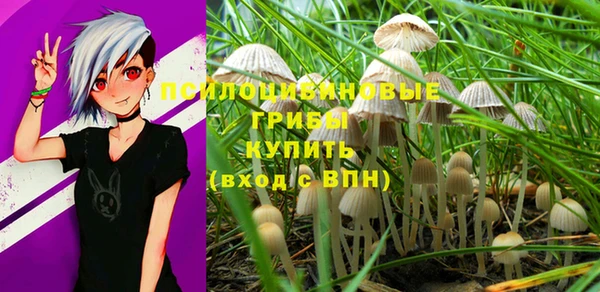 MESCALINE Медвежьегорск