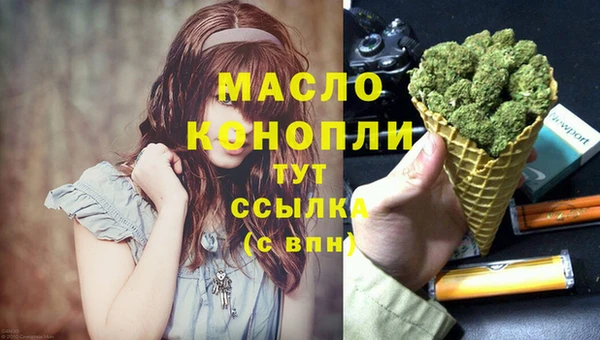твердый Мегион