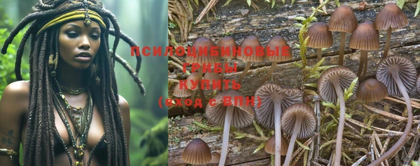 стафф Медногорск