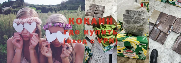 твердый Мегион