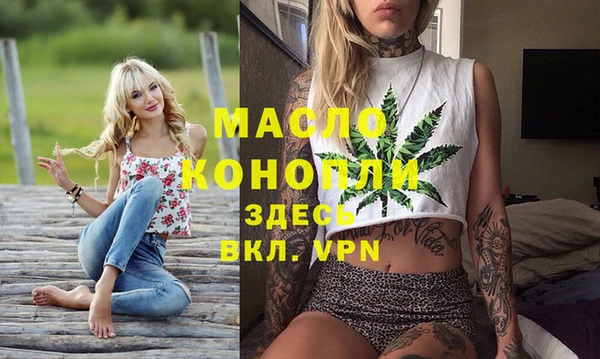 твердый Мегион