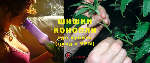 стафф Медногорск
